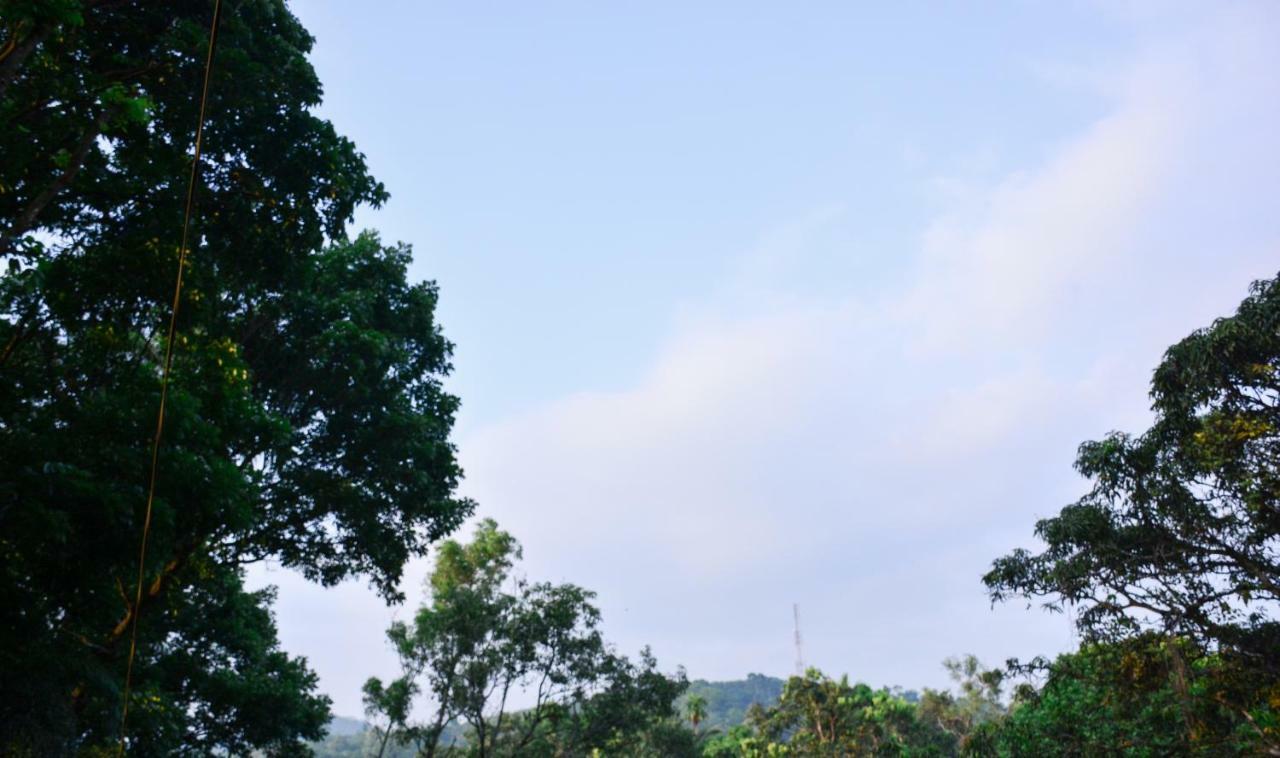 Ceylon Saradiel Home Stay Mawanella 外观 照片