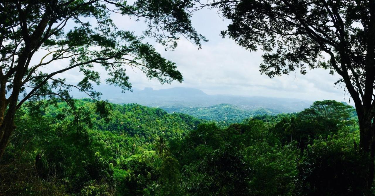 Ceylon Saradiel Home Stay Mawanella 外观 照片
